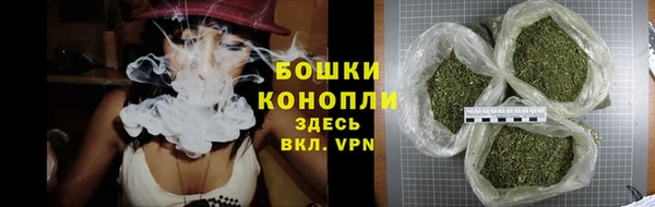 гидра Корсаков