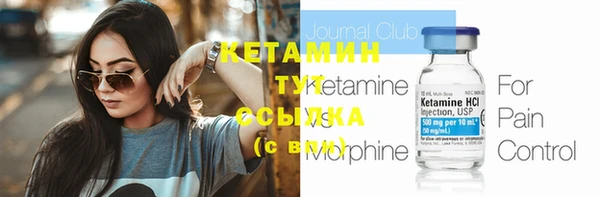 гидра Корсаков