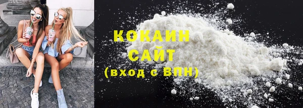 PSILOCYBIN Коряжма
