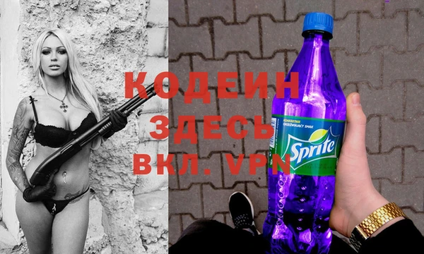 гидра Корсаков