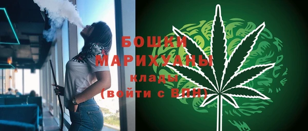 гидра Корсаков