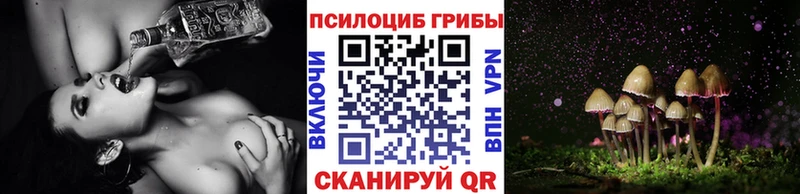 Псилоцибиновые грибы GOLDEN TEACHER  Купить закладки  Михайловск 